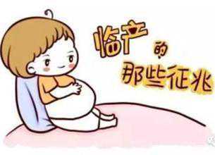 上海代怀孕咨询，咨询试管婴儿上海：您需要了解的五个问题