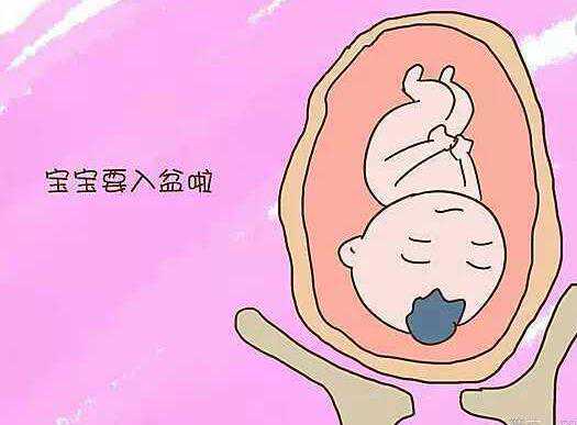 探秘排卵试纸强阳之谜：解锁女性生育周期新奥秘