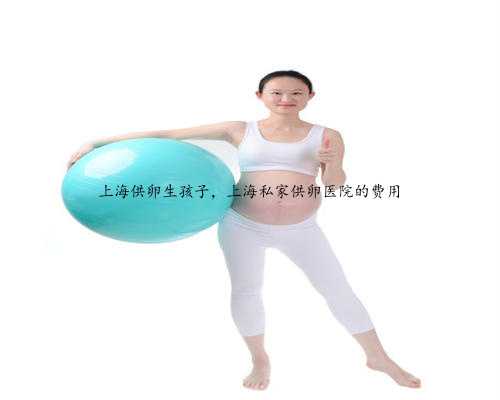上海供卵生孩子，上海私家供卵医院的费用