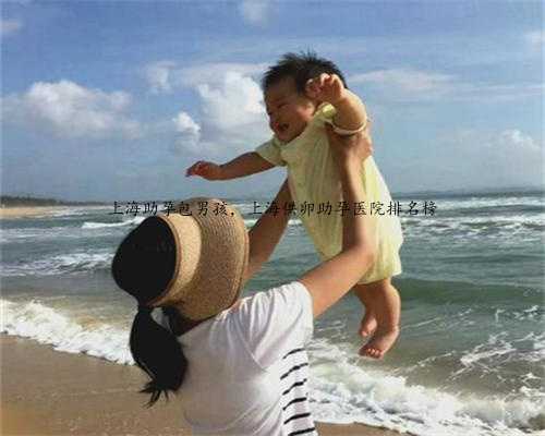 上海助孕包男孩，上海供卵助孕医院排名榜