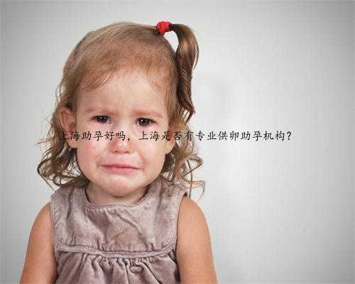 上海助孕好吗，上海是否有专业供卵助孕机构？
