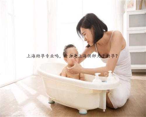 上海助孕专业吗，什么是上海供卵天子助孕？