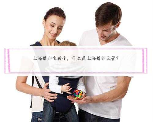 上海借卵生孩子，什么是上海借卵试管？