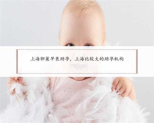 上海卵巢早衰助孕，上海比较大的助孕机构