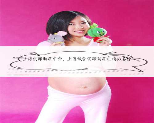 上海供卵助孕中介，上海试管供卵助孕机构排名榜