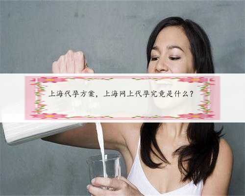 上海代孕方案，上海网上代孕究竟是什么？