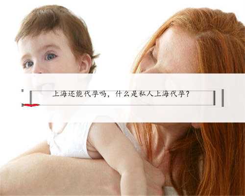 上海还能代孕吗，什么是私人上海代孕？