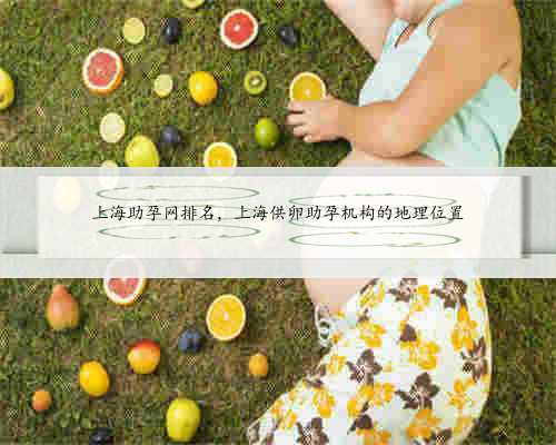 上海助孕网排名，上海供卵助孕机构的地理位置