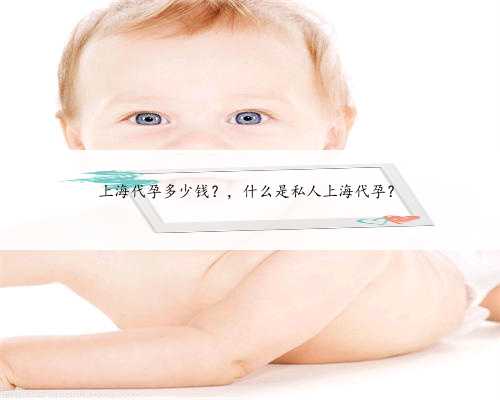 上海代孕多少钱？，什么是私人上海代孕？