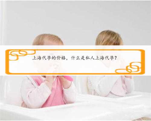 上海代孕的价格，什么是私人上海代孕？