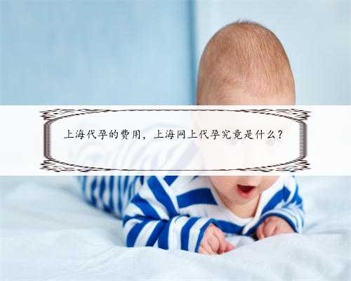 上海代孕的费用，上海网上代孕究竟是什么？