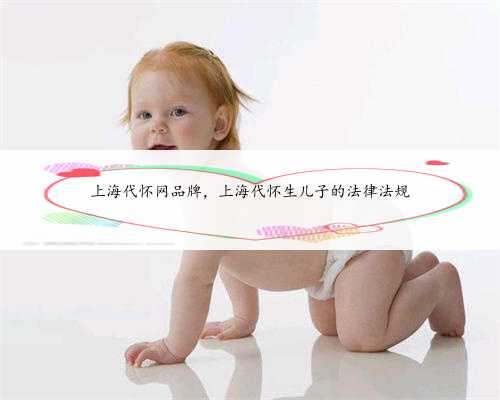 上海代怀网品牌，上海代怀生儿子的法律法规