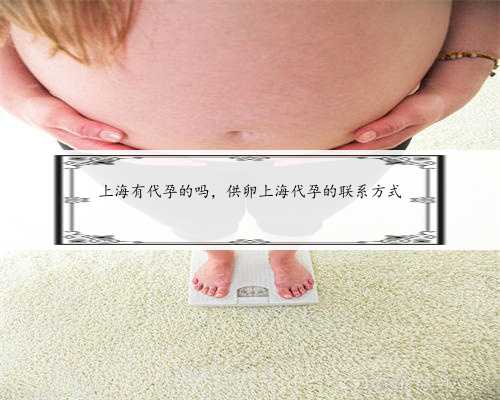 上海有代孕的吗，供卵上海代孕的联系方式