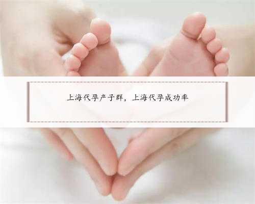 上海代孕产子群，上海代孕成功率