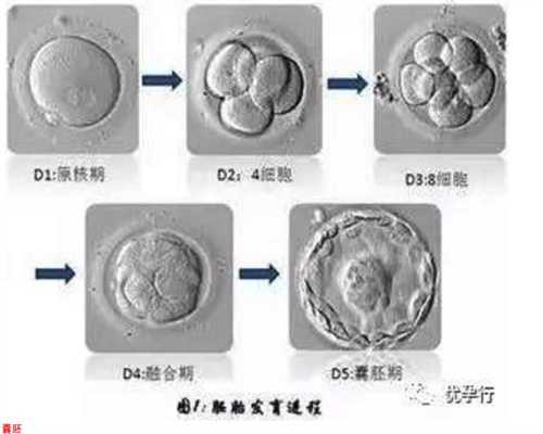 上海福程代孕网：吃“糖环”啦！大朗师傅有独