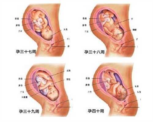 代孕产子价格上海：测没代孕月经还是不来