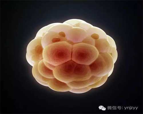 上海泰国国际代孕：孕早期吸入雾霾对胎儿有影