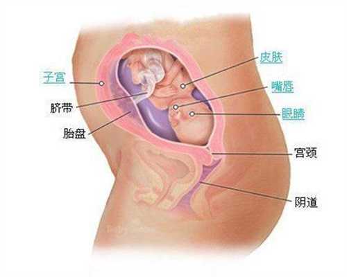 助孕初期出现粉色分泌物_51宝贝助孕中心