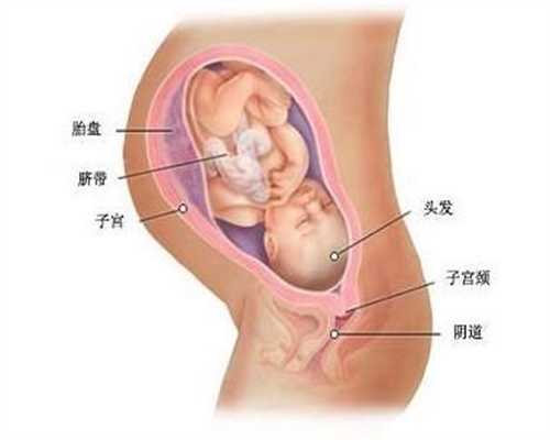 上海代妊：助孕间，女人也一定要一定要注意的