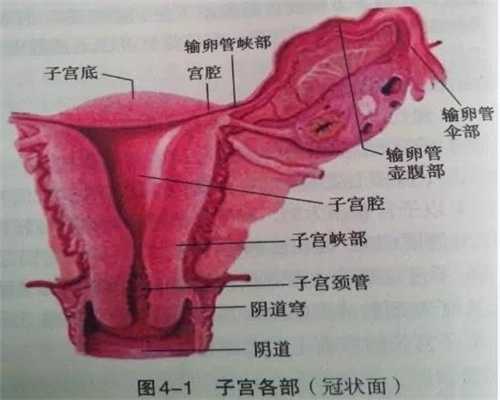 上海助孕：如果你助孕了，身体出现这3种情况，