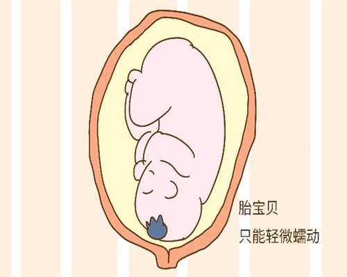 上海招代孕妈妈：请问哪里可以做试管婴儿，费