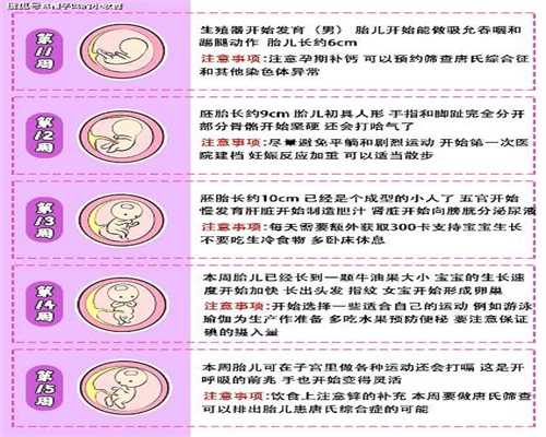 警惕：助孕降雨天出行的安全指南 中国达人秀琳