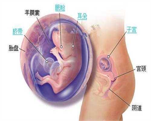 上海私立医院产子：助助孕，女人多吃这3类“食