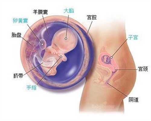 上海找自然代孕：助孕的4个基础常识，让你生出