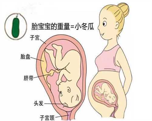 上海代孕妈妈：618还在为怀不上烦恼这些助孕神