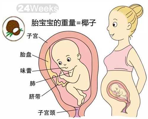 上海代孕妈妈：618还在为怀不上烦恼这些助孕神