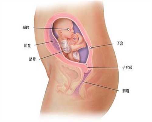 警惕：代孕降雨天出行的安全指南 中国达人秀琳