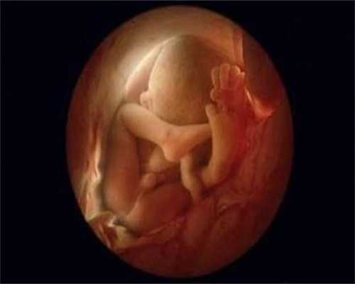 哺乳期没有月经会不会代怀孕