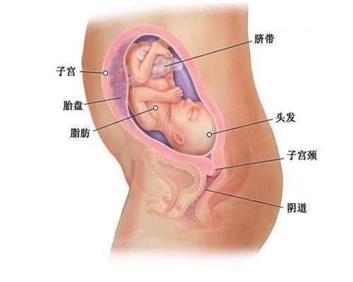 代怀孕了应该注意哪些辐射