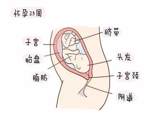 助孕初期肚子痛需警惕