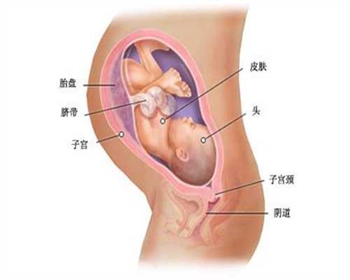 武汉协和医院不孕不育科：助助孕期间能吃薏米