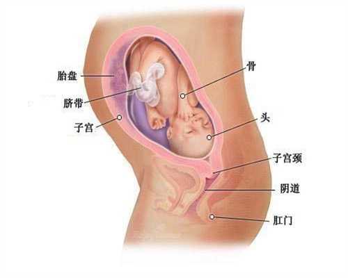 西安哪个医院妇科好些：代怀孕三个月肚子会大