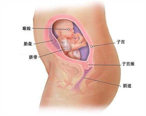 代怀孕后贫血的症状有什么，代怀孕期间贫血怎
