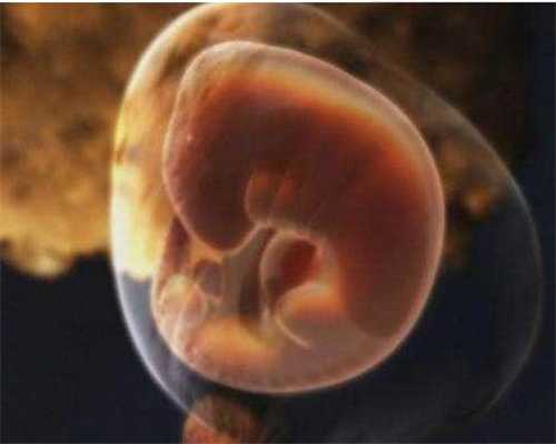 试管婴儿：生娃这条路，卵子精子的这些故障一
