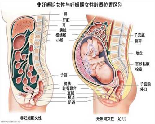代孕小知识：如何自我测试排卵期_生一个试管婴