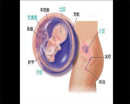 代孕初期流出褐色液体_人工受孕跟试管婴儿的区