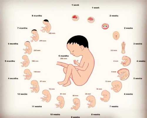 代孕期间妈妈身体这4个部位疼痛恭喜你宝宝正在