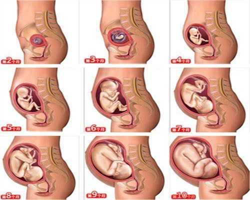怀代孕间，男孩和女孩的胎动不一样听听过来人