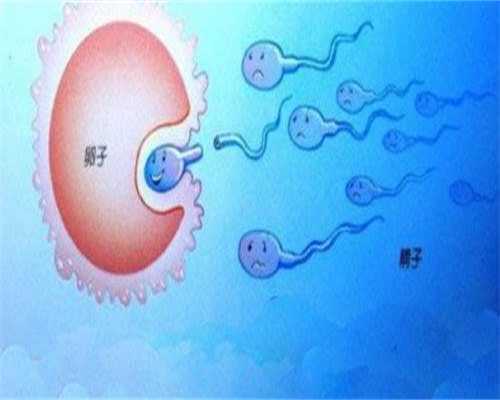 上海供卵代孕：月经失调会导致不孕吗？有排卵