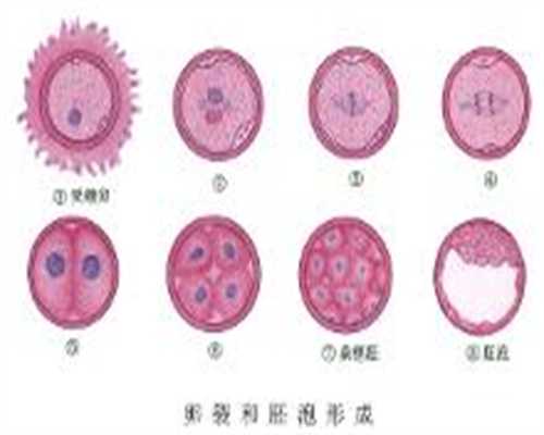 上海代孕禁止的原因～上海输卵管粘连怎么治最