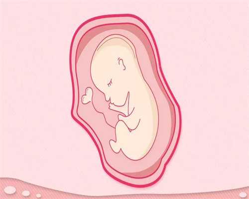 上海最好的代孕机构-代怀孕产后代怀孕妈妈的六大催乳圣品