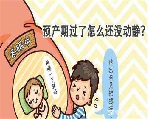 上海找个代生女要多少钱-降血脂