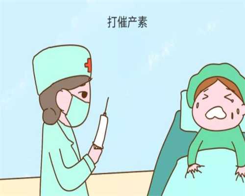 上海我想找个代孕的女人-高质量传宗接代的法门