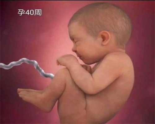 上海代孕中介费用是多少_上海明星都代孕吗IT宅男如何生出高智商代孕宝宝_遗