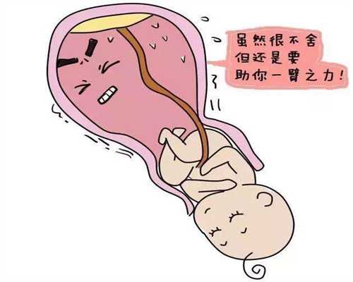 上海代孕_上海代孕检查项目_上海有想代孕的女人吗